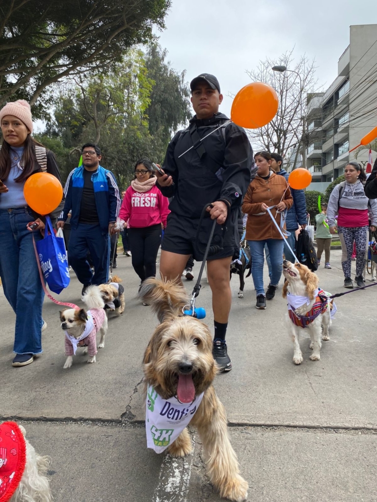 En el marco por el Día del Perro, a celebrarse el próximo domingo 20 de julio, el Parque La Floresta en Surco será el escenario de la esperada cuarta edición de la Caminata Huellas 4K, organizada por la Fundación Huellas Perú y la Municipalidad de Santiago de Surco.